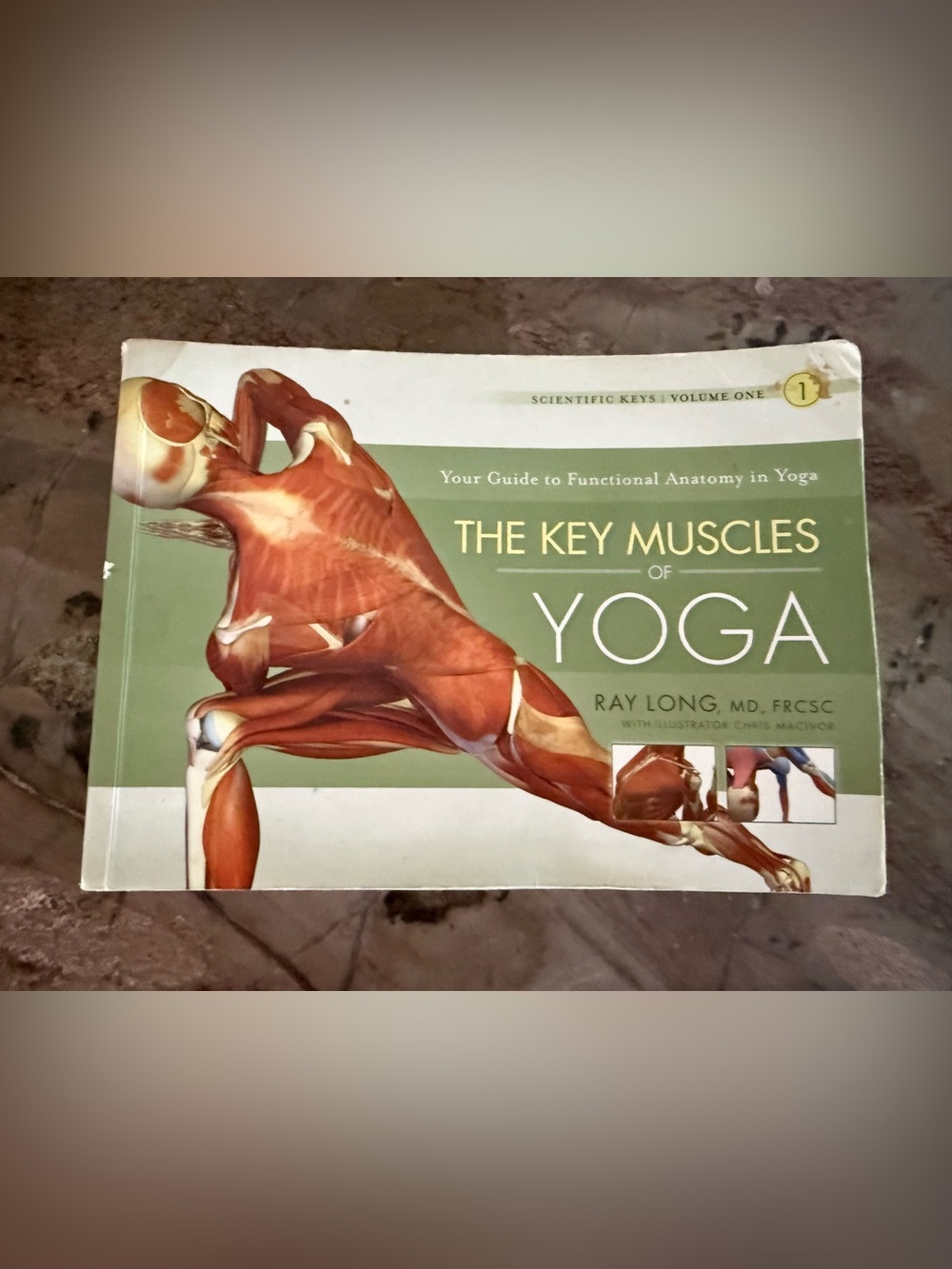 Add On Item 🆓 with purchase The Key Muscles of Yoga Book (fair condition!)